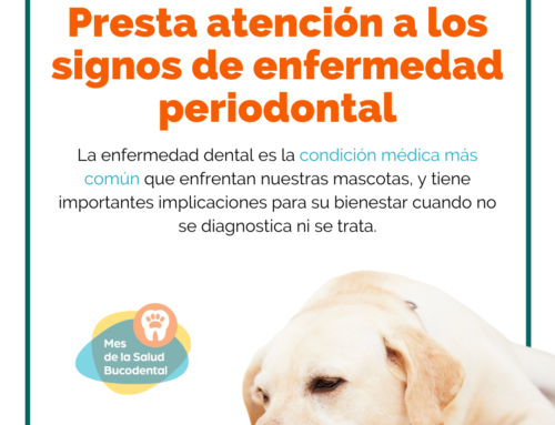 NOVIEMBRE MES DE LA SALUD BUCODENTAL