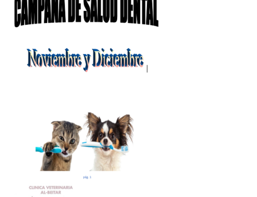 CAMPAÑA DE SALUD DENTAL