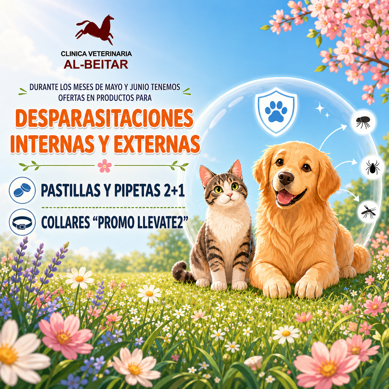 Campaña de desparasitación para perros y gatos en Albacete