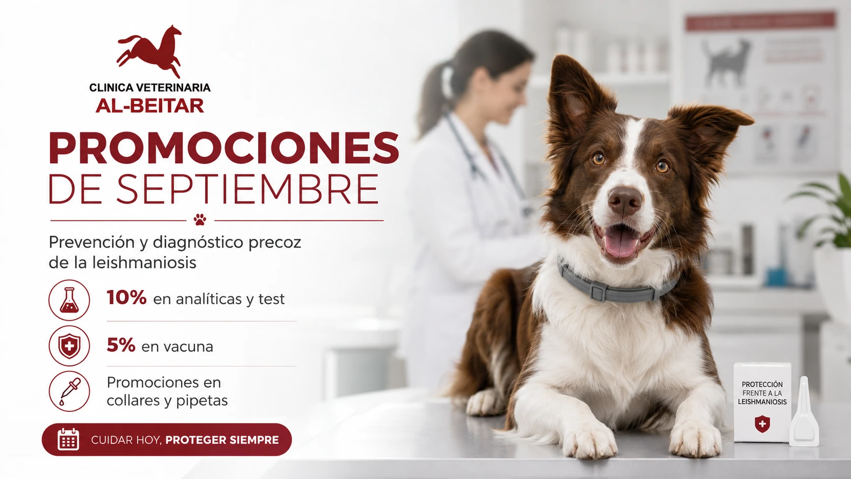 Promoción de prevención de leishmaniosis en septiembre en Clínica Veterinaria Al-Beitar